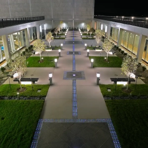 ccld4