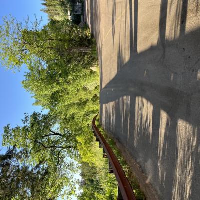 Img 9022